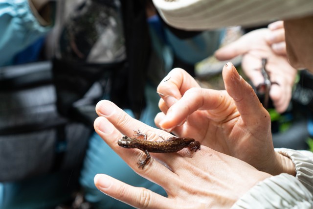 【真の秘境・奥鬼怒】秘境と狩人と珍味｜1泊2日ツアー